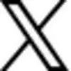 Twitter 30px