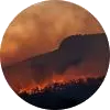 wildfire_circle transparent.png