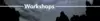 Workshops (only) copy.png