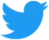 Twitter 42px