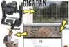 Gigapan image