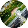 GreenRoof.jpg