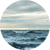 ocean_Ant Rozetsky .png