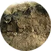 Soil Circle