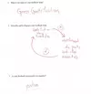 Figure 1_Brenner FLF.jpg