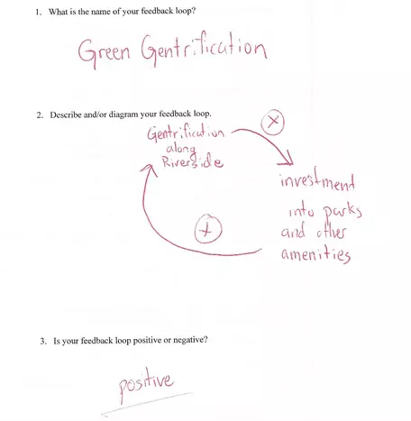 Figure 1_Brenner FLF.jpg