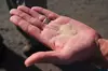 Fine-grained silica sand