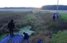Logjams 1