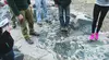 Students on an Igneous and Metamorphic Petrology field trip