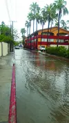 Ekman image flooding2.jpg