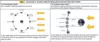 Screen Shot 2018-11-01 at 12.40.51 PM.png