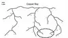 Figure 4.jpg