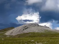 Regional fold in limestone