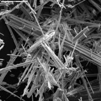 SEM Image of Anthophyllite Asbestos