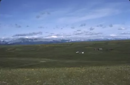 Jensen ranch in front of the Rocky Mountain Front   