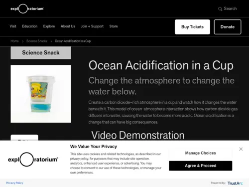 Ocean Acidification in a Cup