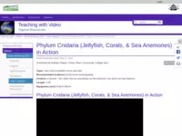 Go to http://serc.carleton.edu/NAGTWorkshops/video/workshop2014/minutevids/82594.html